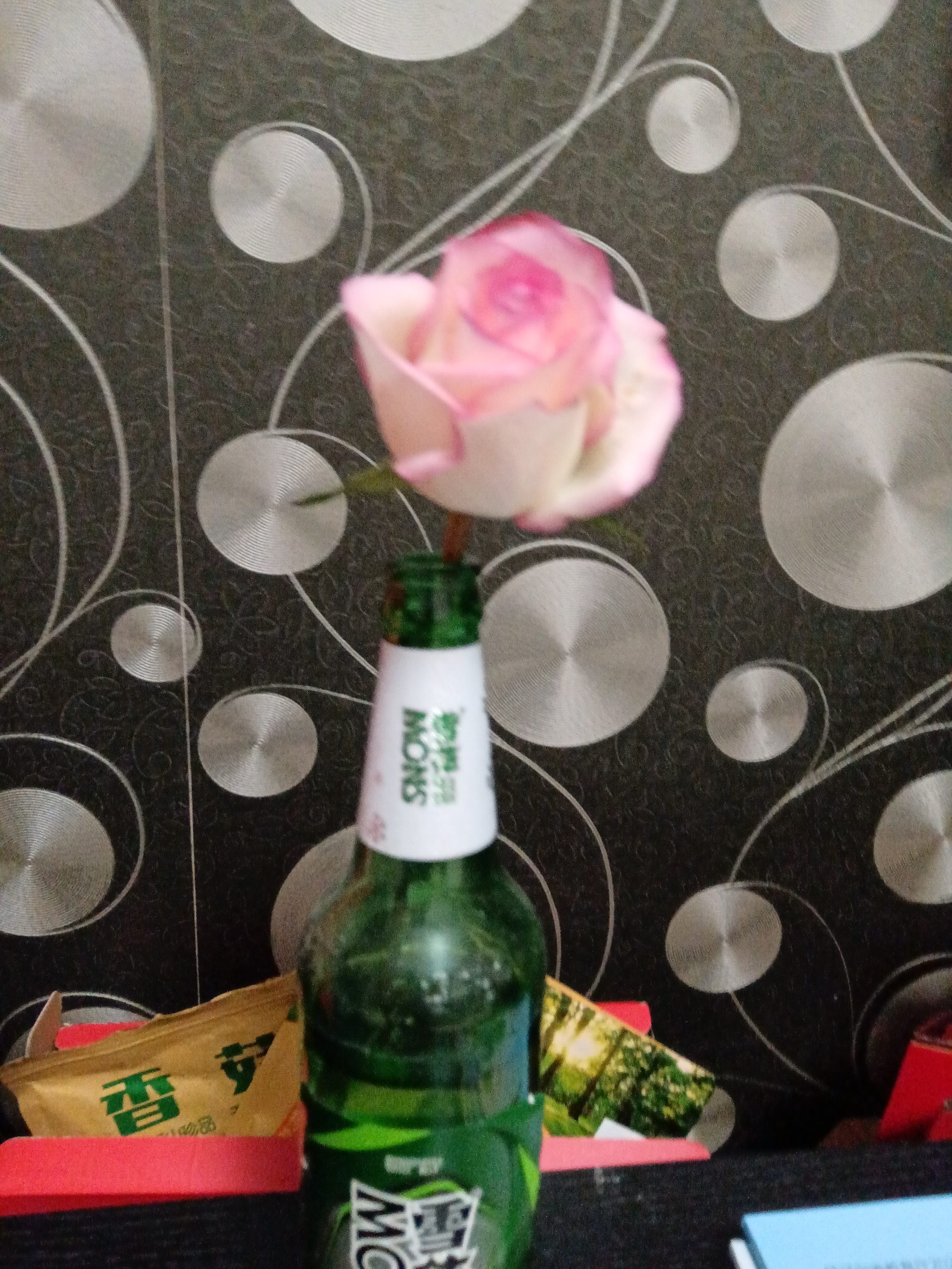 这朵花已经完全开放了-Allen Space